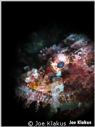 Shot with Canon G10 with hand held torch. by Joe Klakus 
